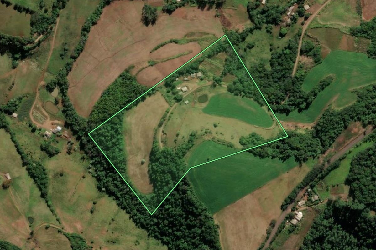 Imagem de satélite do imóvel rural em Seberi (RS), com o contorno declarado no CAR desenhado por cima.