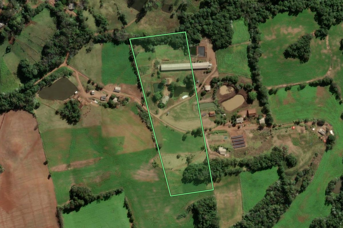 Imagem de satélite do imóvel rural em Seberi (RS), com o contorno declarado no CAR desenhado por cima.