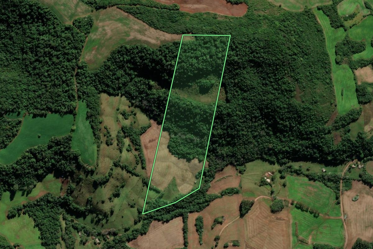 Imagem de satélite do imóvel rural em Seberi (RS), com o contorno declarado no CAR desenhado por cima.