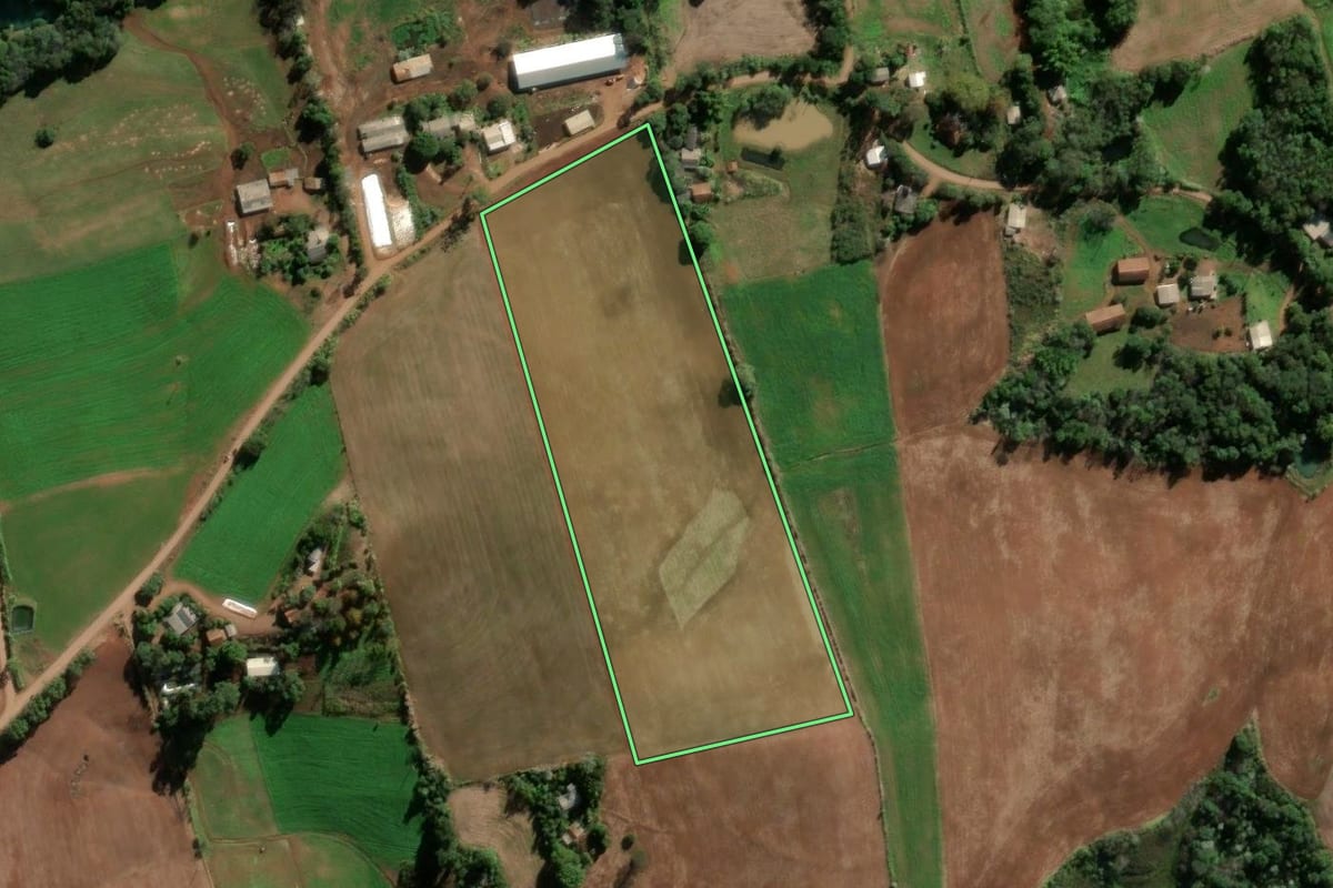 Imagem de satélite do imóvel rural em Seberi (RS), com o contorno declarado no CAR desenhado por cima.