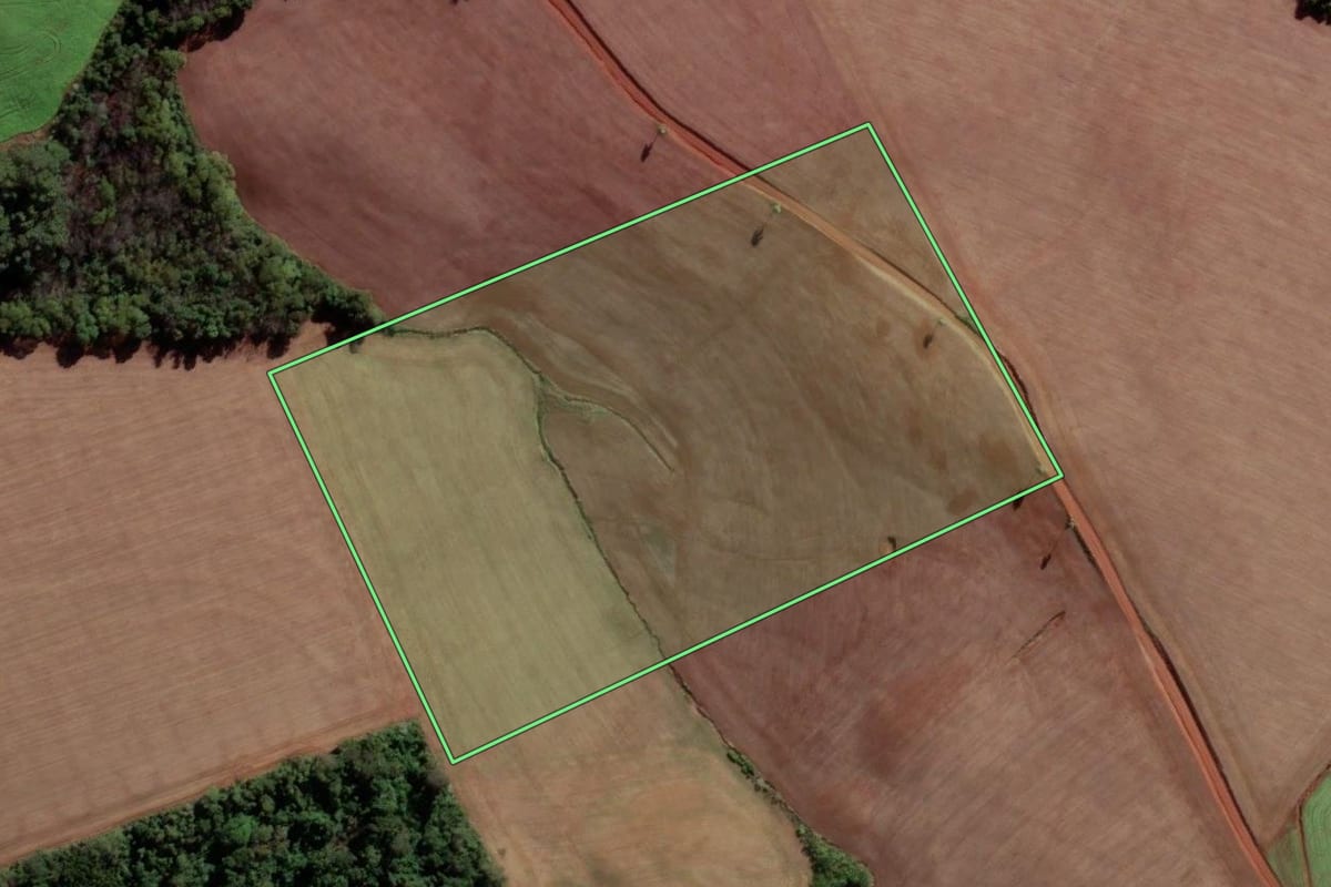 Imagem de satélite do imóvel rural em Seberi (RS), com o contorno declarado no CAR desenhado por cima.