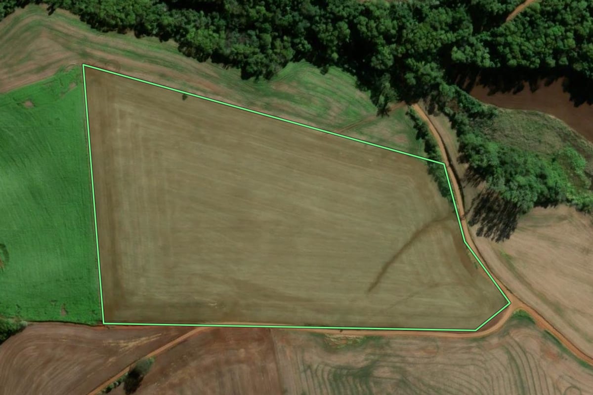 Imagem de satélite do imóvel rural em Seberi (RS), com o contorno declarado no CAR desenhado por cima.