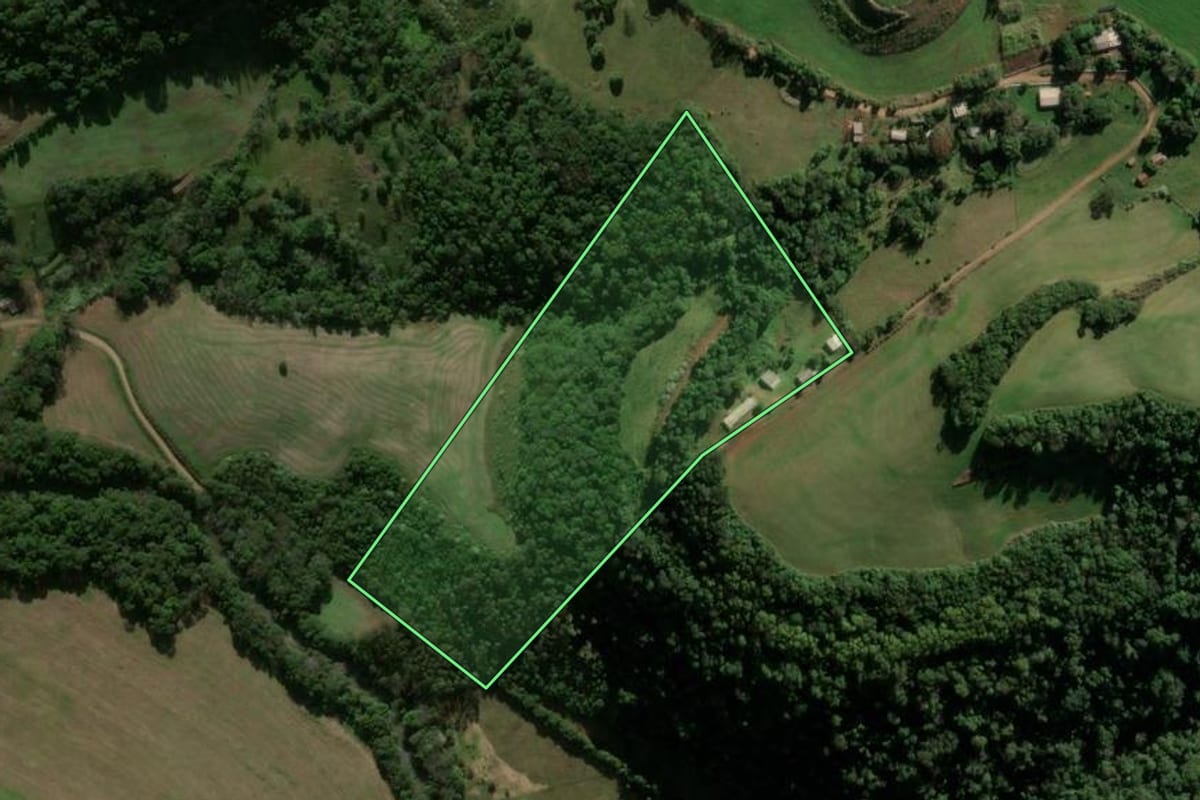 Imagem de satélite do imóvel rural em Seberi (RS), com o contorno declarado no CAR desenhado por cima.