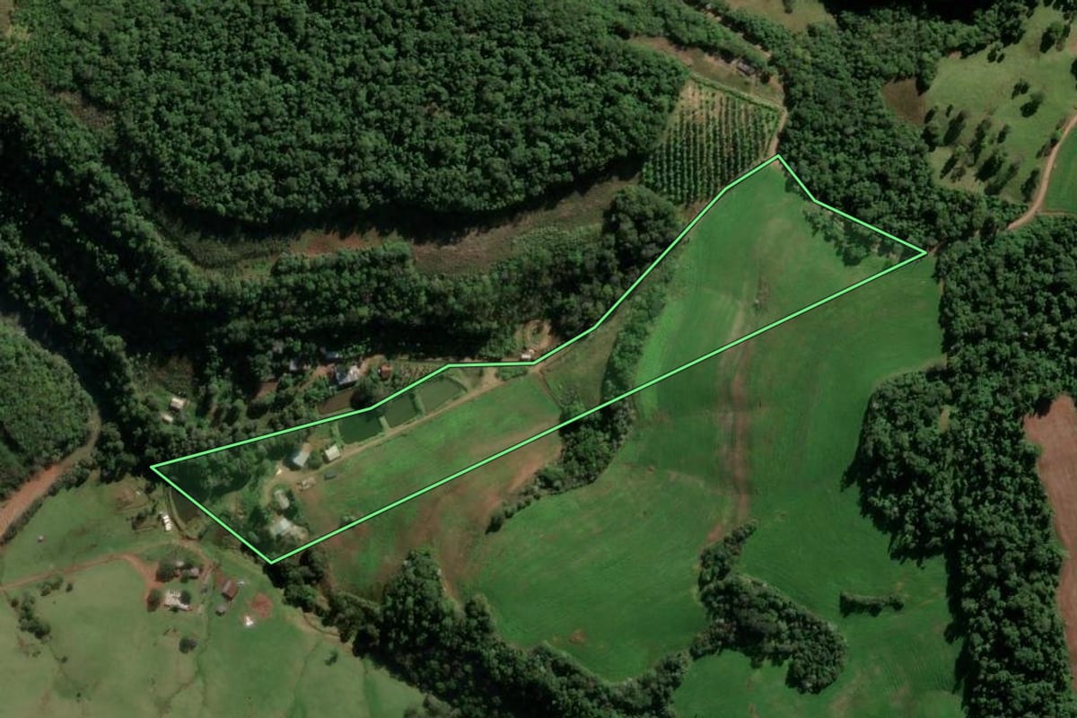 Imagem de satélite do imóvel rural em Seberi (RS), com o contorno declarado no CAR desenhado por cima.