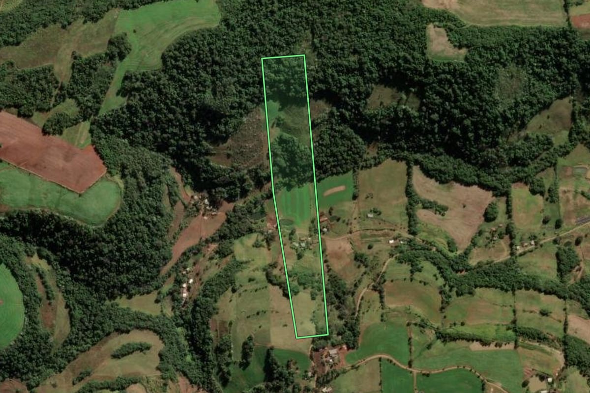 Imagem de satélite do imóvel rural em Seberi (RS), com o contorno declarado no CAR desenhado por cima.