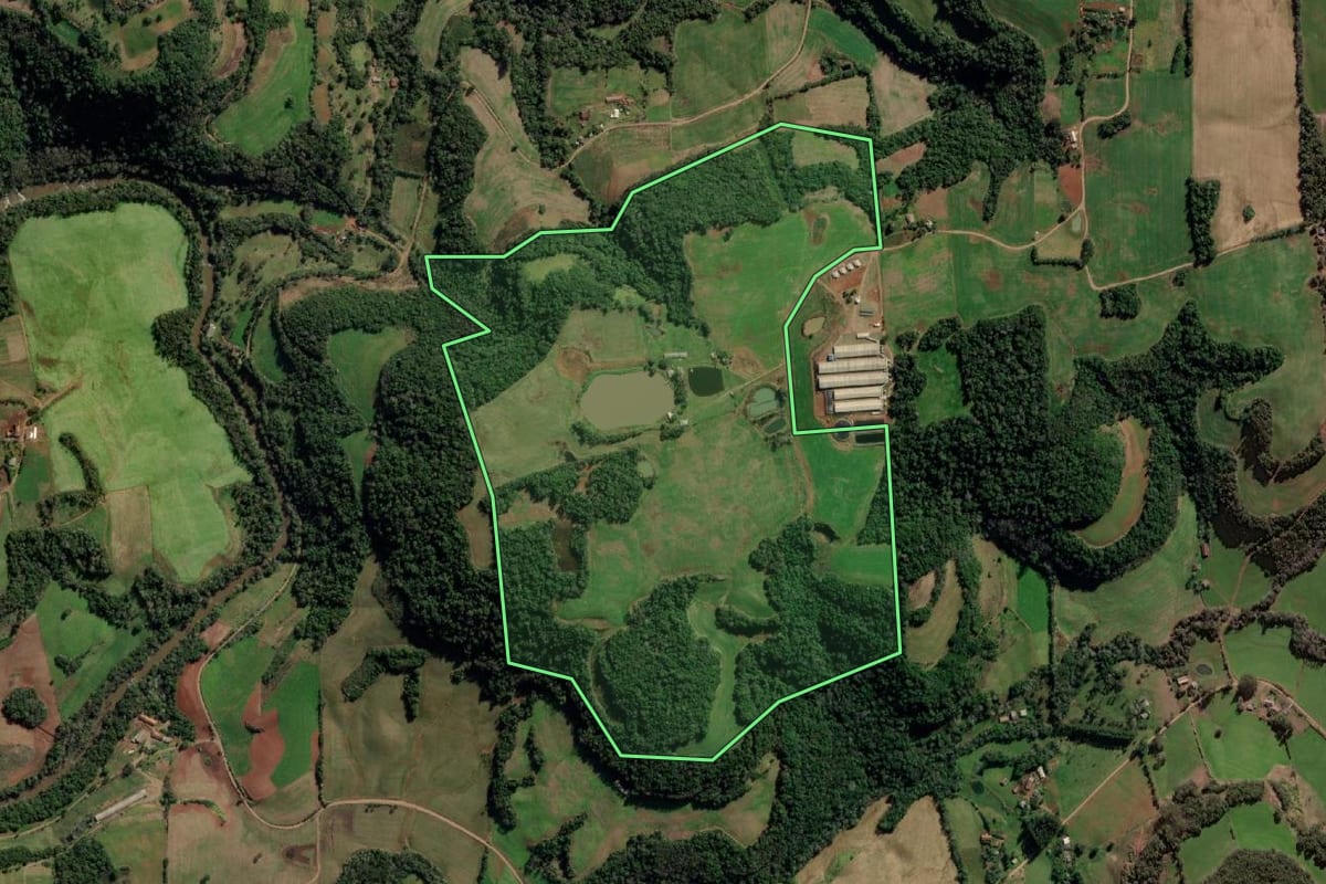 Imagem de satélite do imóvel rural em Seberi (RS), com o contorno declarado no CAR desenhado por cima.