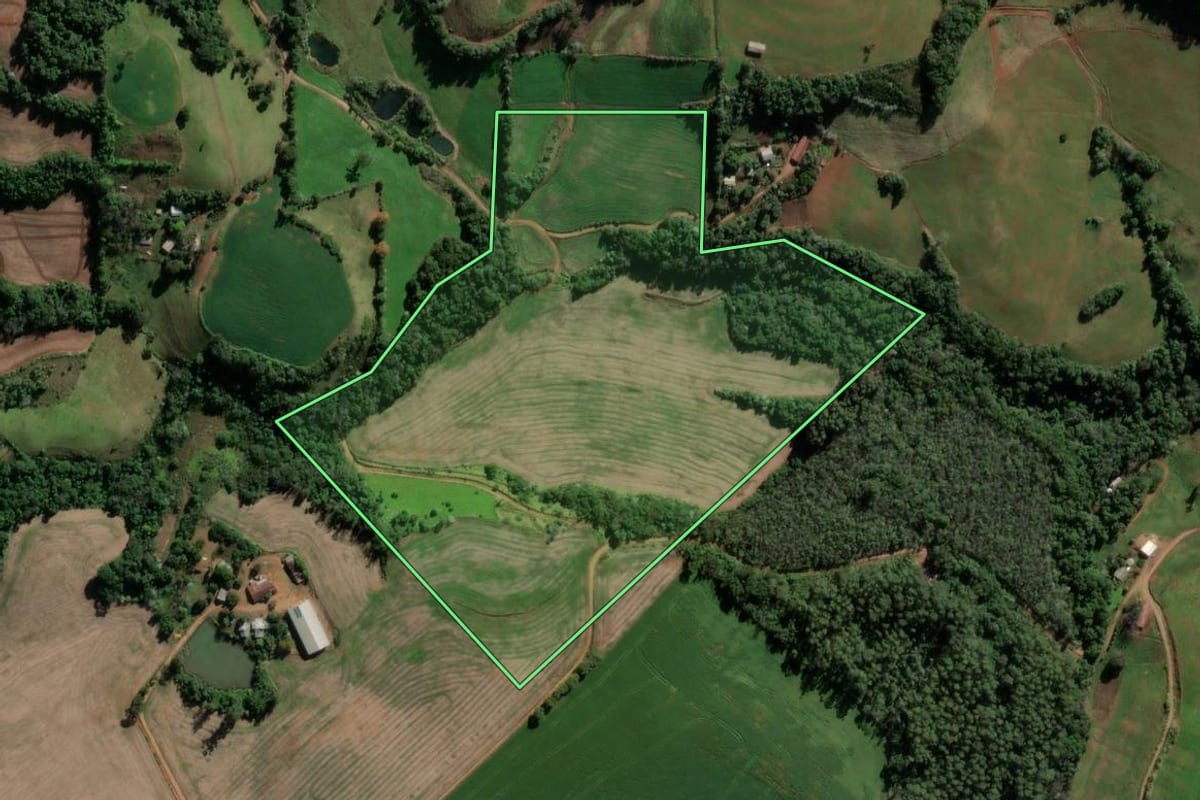 Imagem de satélite do imóvel rural em Seberi (RS), com o contorno declarado no CAR desenhado por cima.