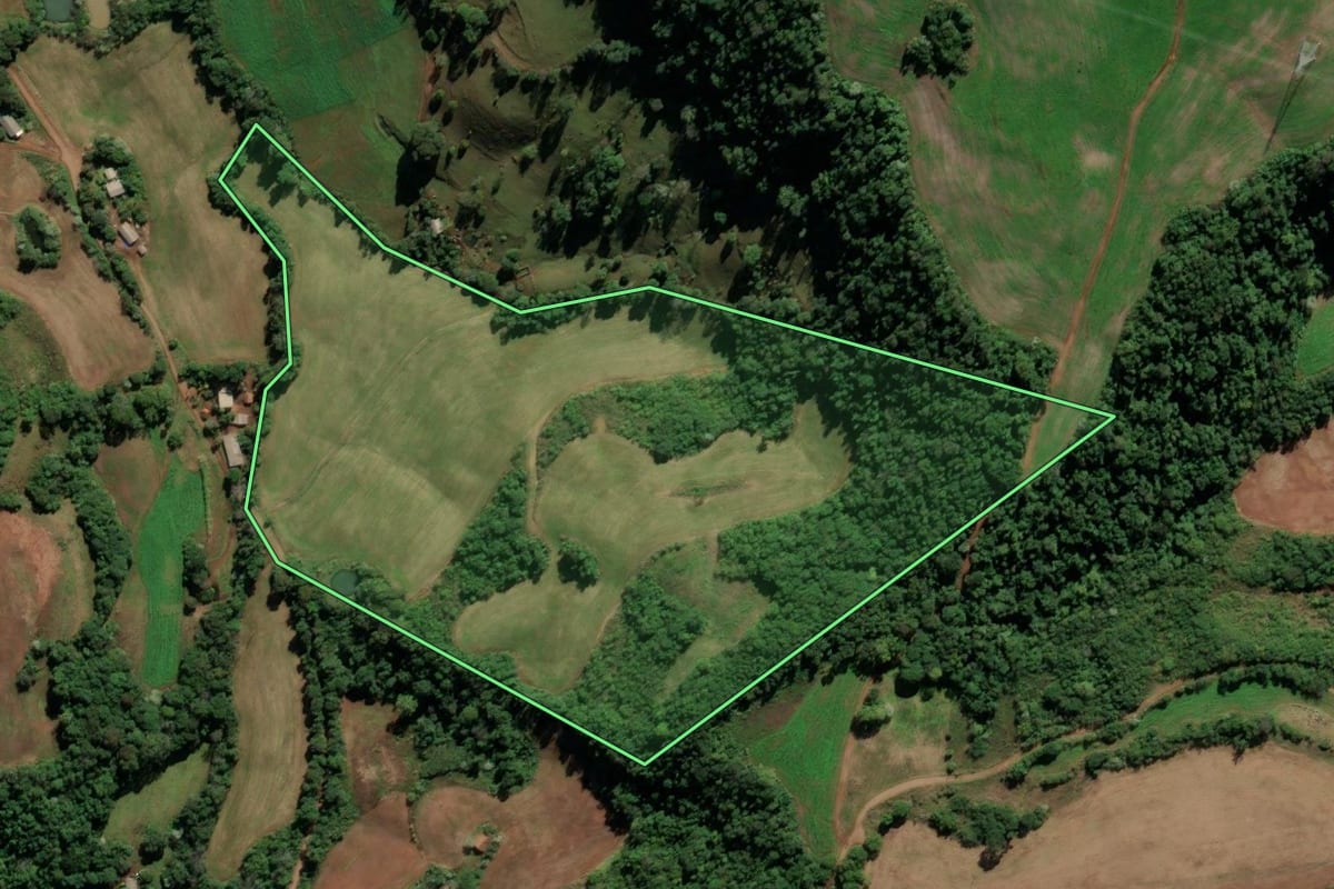 Imagem de satélite do imóvel rural em Seberi (RS), com o contorno declarado no CAR desenhado por cima.