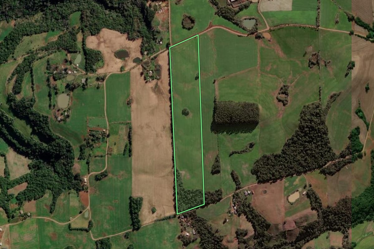 Imagem de satélite do imóvel rural em Seberi (RS), com o contorno declarado no CAR desenhado por cima.