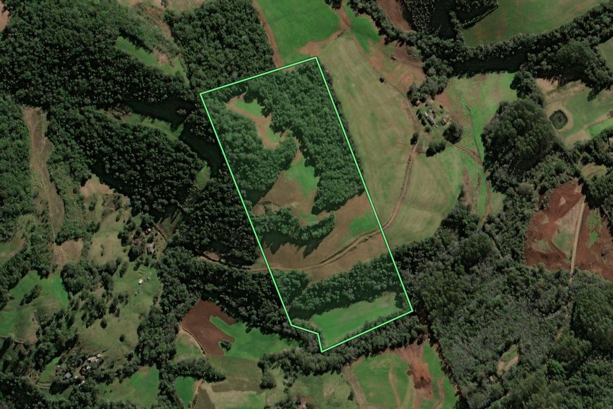 Imagem de satélite do imóvel rural em Seberi (RS), com o contorno declarado no CAR desenhado por cima.