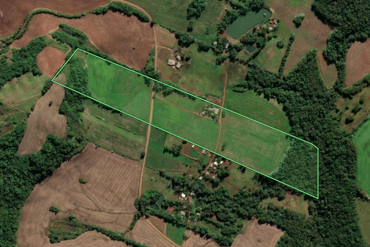 Imagem de satélite do imóvel rural em Seberi (RS), com o contorno declarado no CAR desenhado por cima.