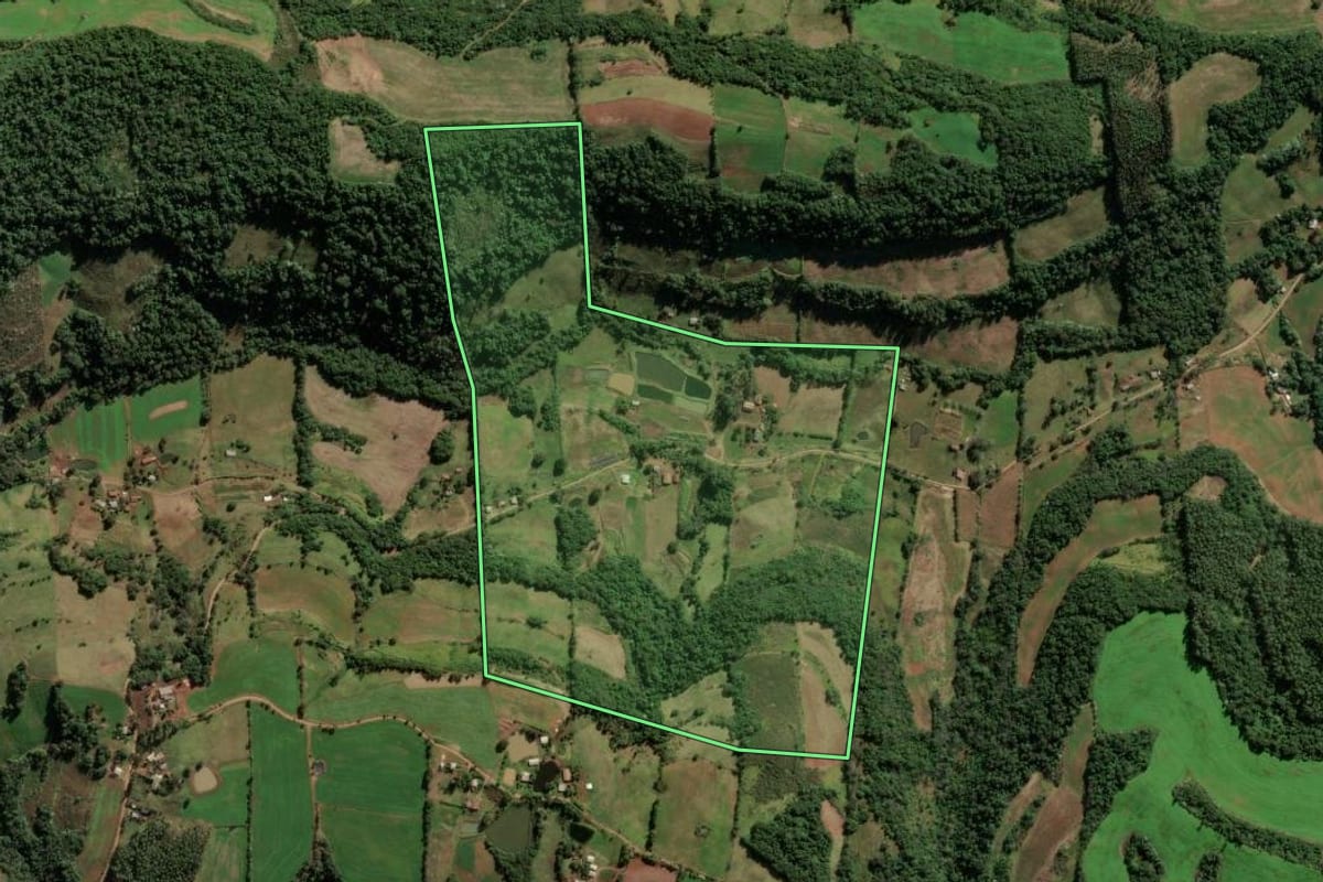 Imagem de satélite do imóvel rural em Seberi (RS), com o contorno declarado no CAR desenhado por cima.