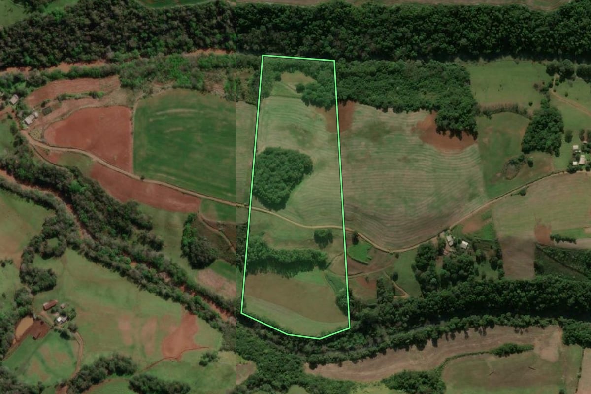 Imagem de satélite do imóvel rural em Seberi (RS), com o contorno declarado no CAR desenhado por cima.