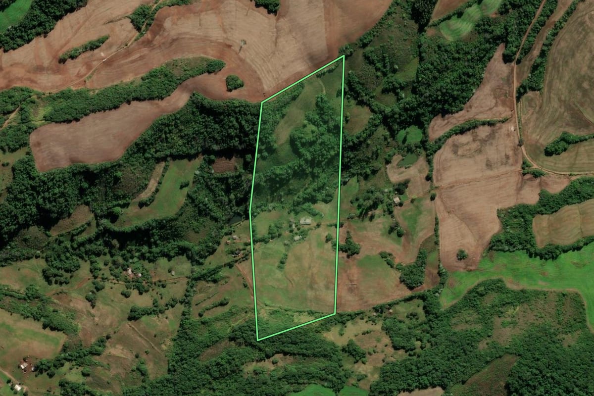 Imagem de satélite do imóvel rural em Seberi (RS), com o contorno declarado no CAR desenhado por cima.
