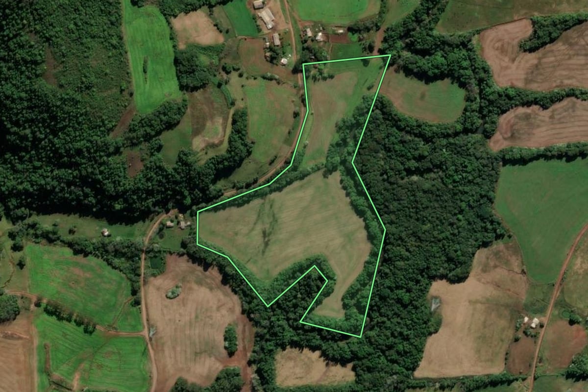 Imagem de satélite do imóvel rural em Seberi (RS), com o contorno declarado no CAR desenhado por cima.