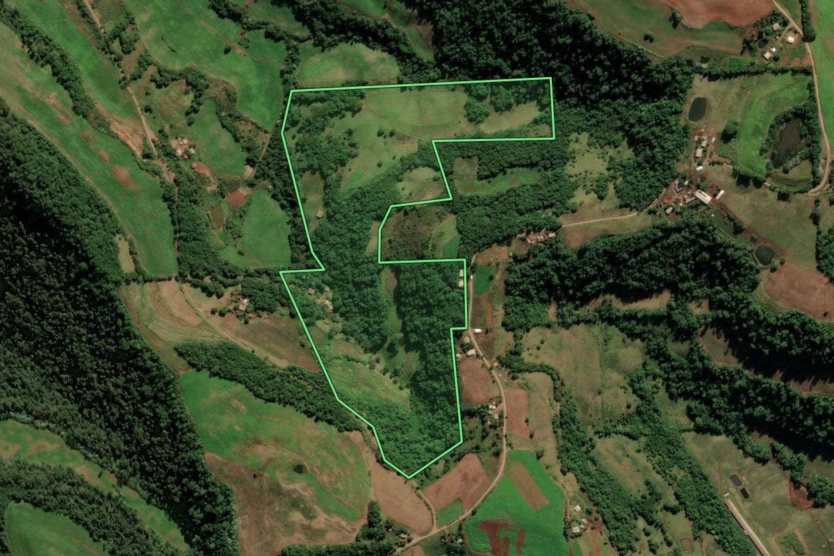 Imagem de satélite do imóvel rural em Seberi (RS), com o contorno declarado no CAR desenhado por cima.