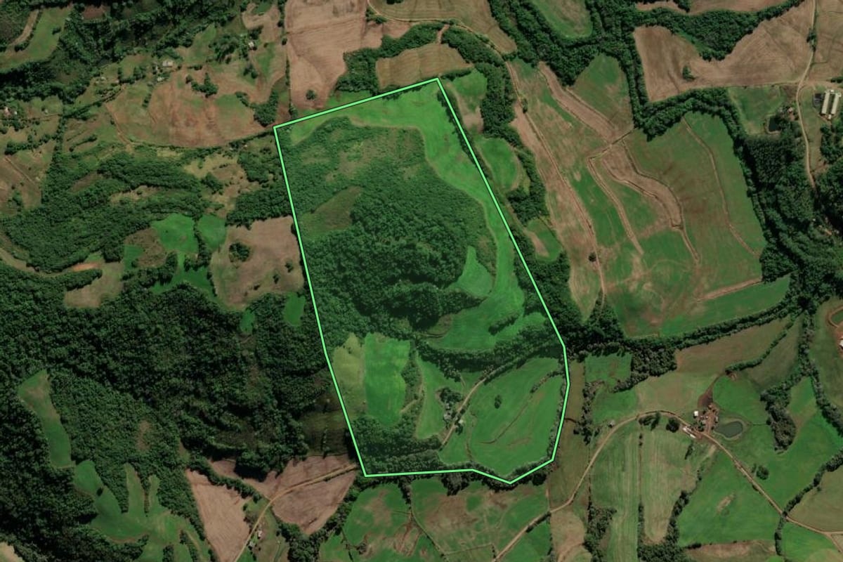 Imagem de satélite do imóvel rural em Seberi (RS), com o contorno declarado no CAR desenhado por cima.