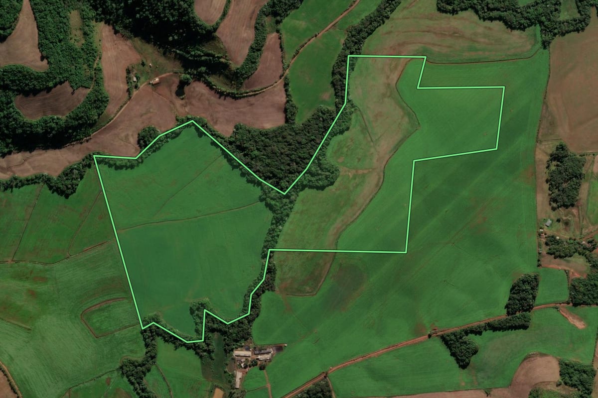 Imagem de satélite do imóvel rural em Seberi (RS), com o contorno declarado no CAR desenhado por cima.