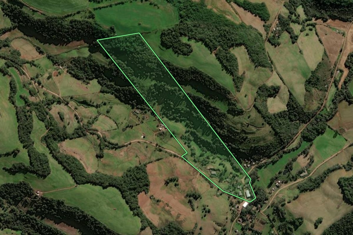 Imagem de satélite do imóvel rural em Seberi (RS), com o contorno declarado no CAR desenhado por cima.