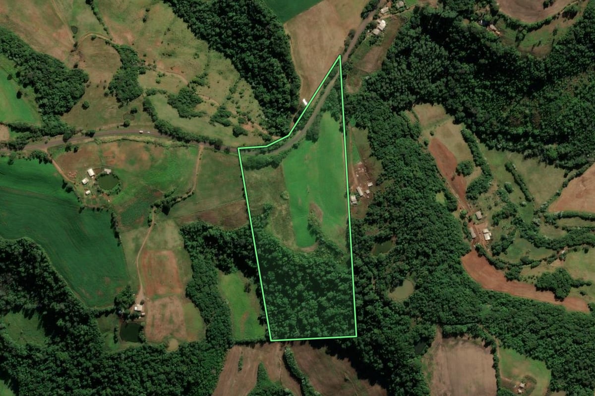 Imagem de satélite do imóvel rural em Seberi (RS), com o contorno declarado no CAR desenhado por cima.