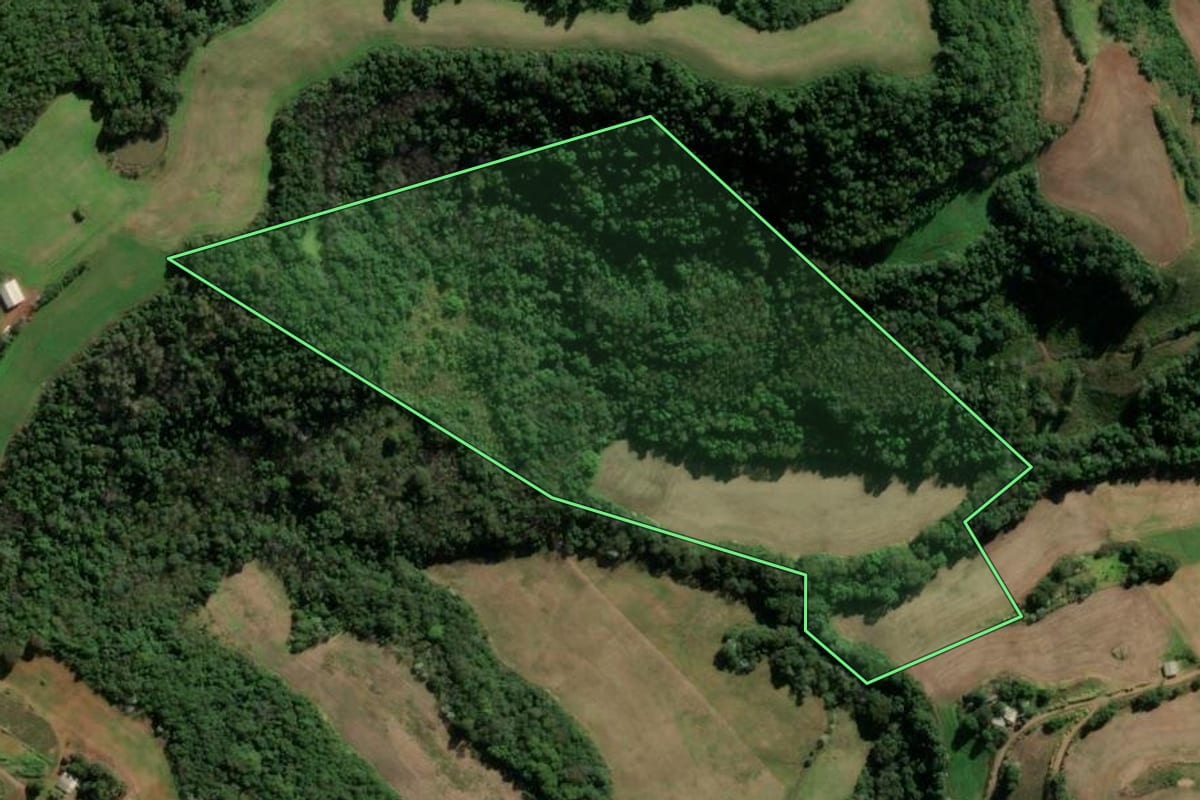 Imagem de satélite do imóvel rural em Seberi (RS), com o contorno declarado no CAR desenhado por cima.
