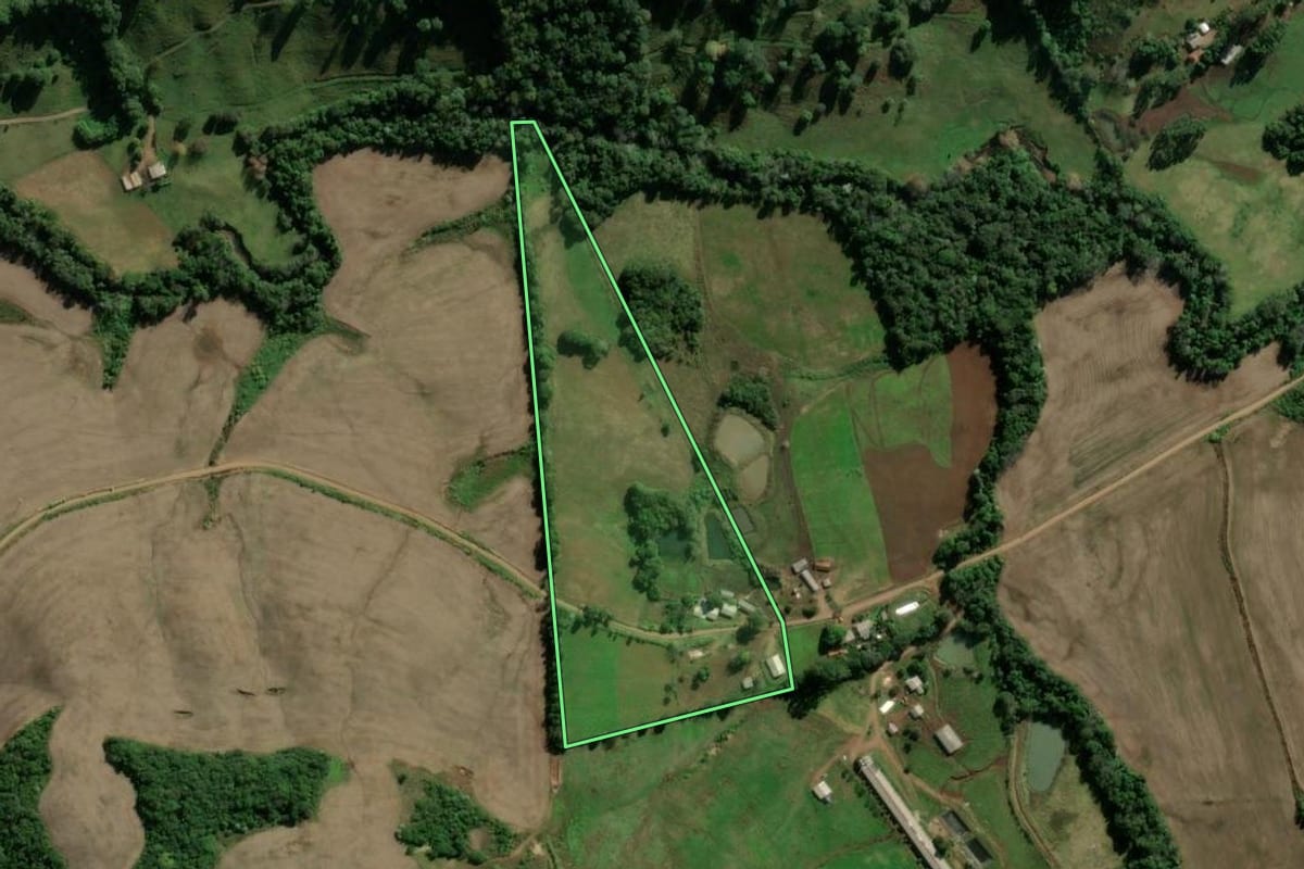 Imagem de satélite do imóvel rural em Seberi (RS), com o contorno declarado no CAR desenhado por cima.