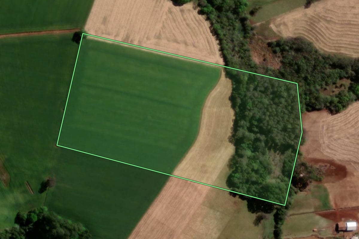 Imagem de satélite do imóvel rural em Sede Nova (RS), com o contorno declarado no CAR desenhado por cima.