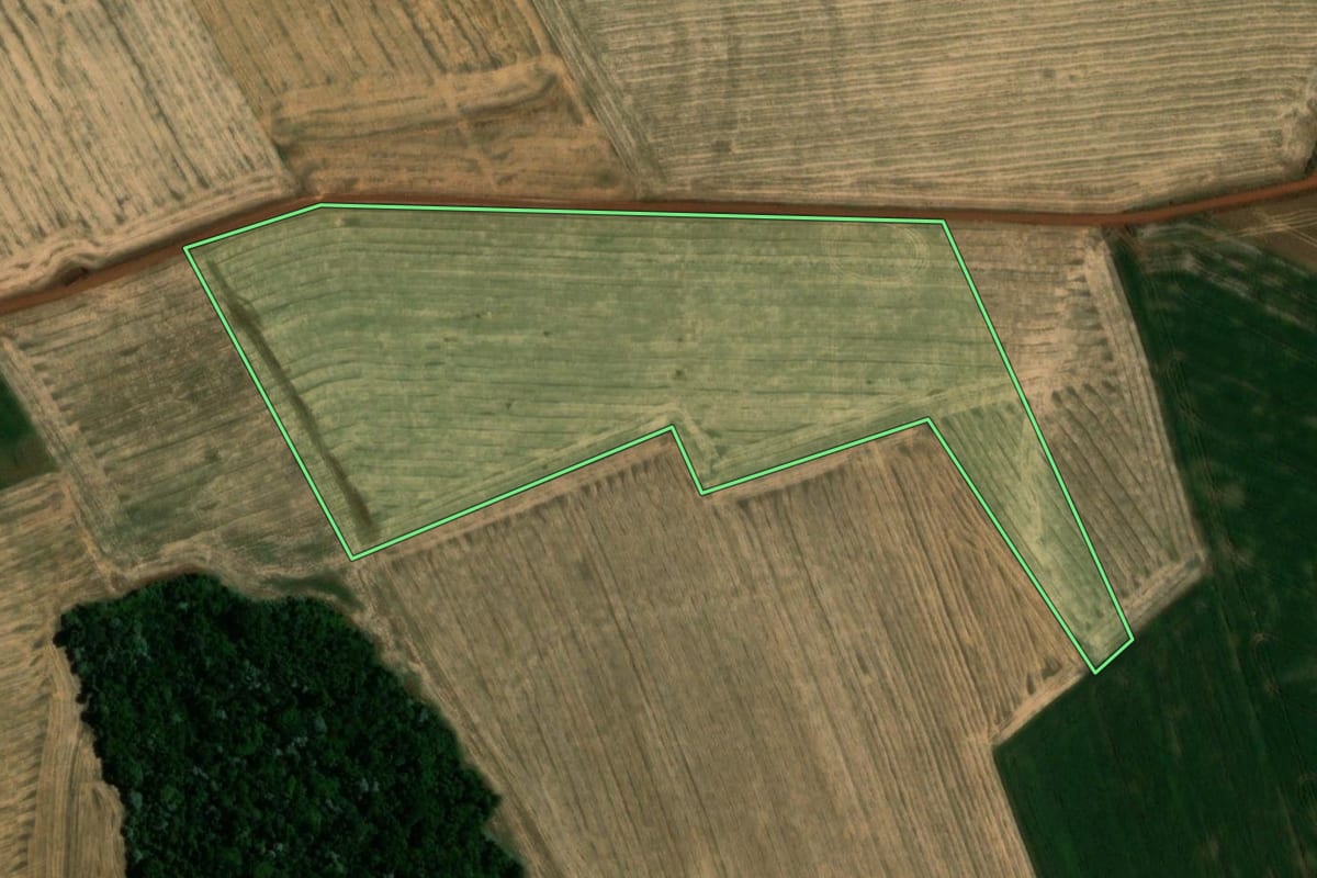 Imagem de satélite do imóvel rural em Sede Nova (RS), com o contorno declarado no CAR desenhado por cima.