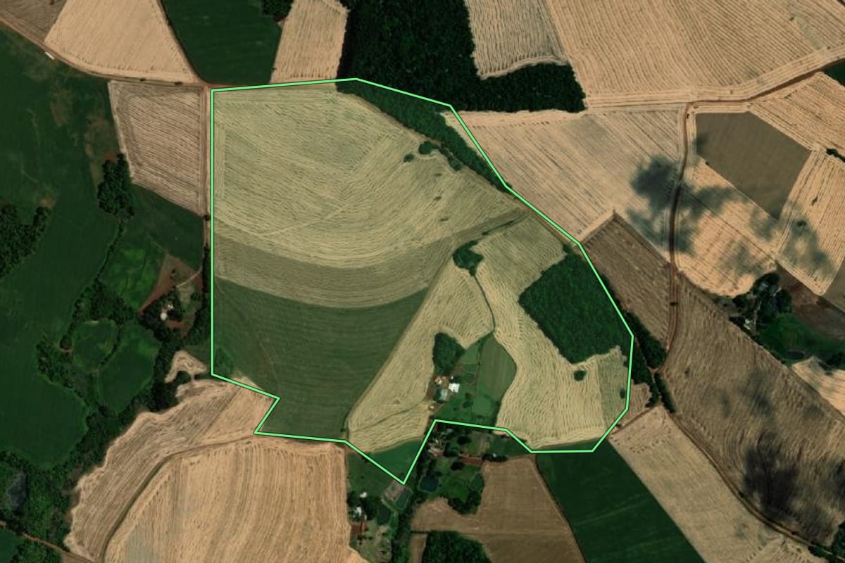 Imagem de satélite do imóvel rural em Sede Nova (RS), com o contorno declarado no CAR desenhado por cima.