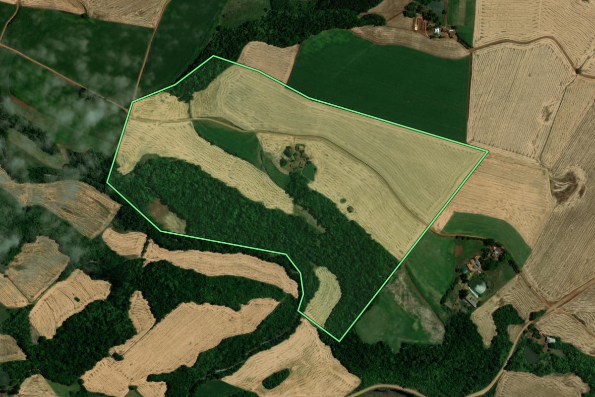 Imagem de satélite do imóvel rural em Sede Nova (RS), com o contorno declarado no CAR desenhado por cima.