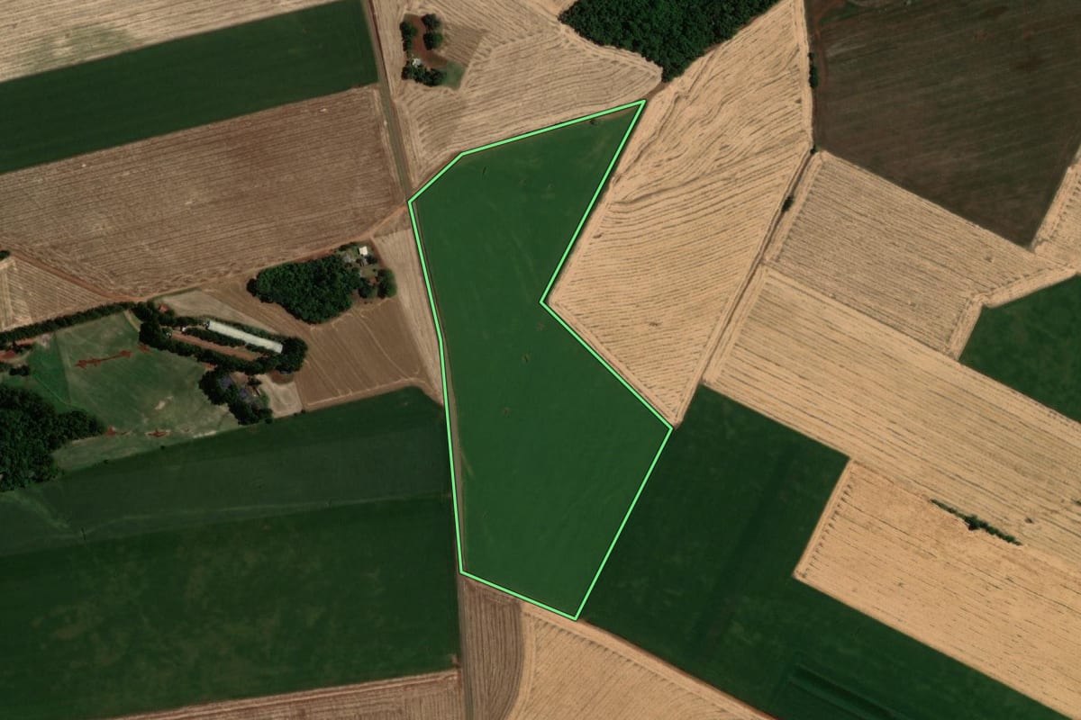 Imagem de satélite do imóvel rural em Sede Nova (RS), com o contorno declarado no CAR desenhado por cima.
