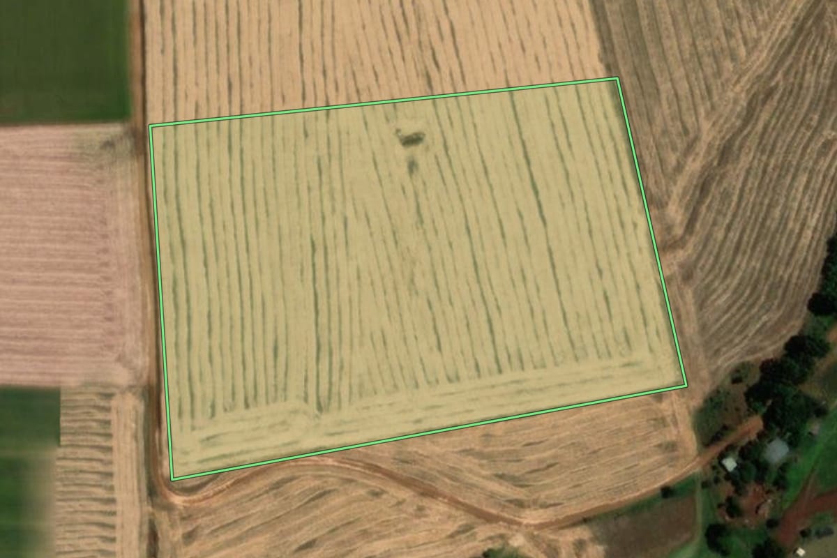 Imagem de satélite do imóvel rural em Sede Nova (RS), com o contorno declarado no CAR desenhado por cima.