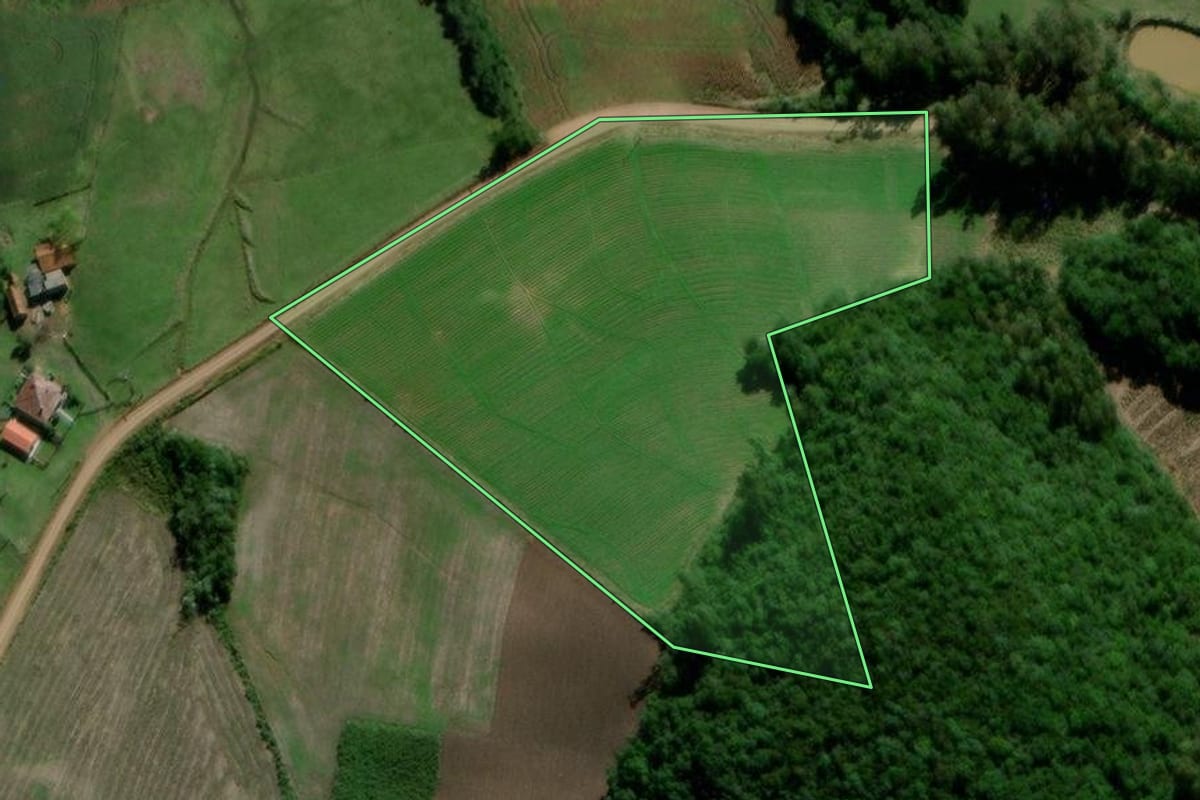 Imagem de satélite do imóvel rural em Segredo (RS), com o contorno declarado no CAR desenhado por cima.