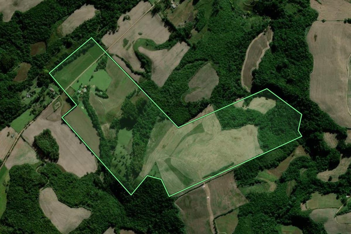 Imagem de satélite do imóvel rural em Segredo (RS), com o contorno declarado no CAR desenhado por cima.