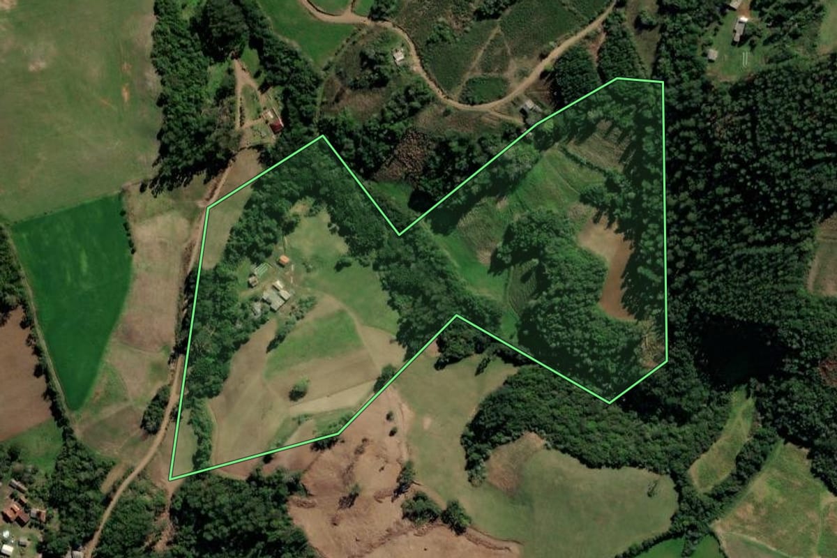 Imagem de satélite do imóvel rural em Segredo (RS), com o contorno declarado no CAR desenhado por cima.
