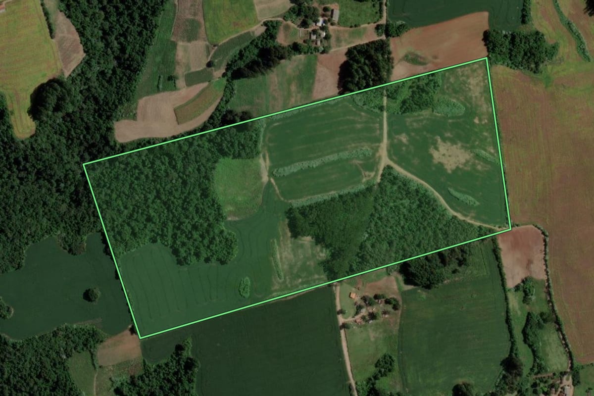 Imagem de satélite do imóvel rural em Segredo (RS), com o contorno declarado no CAR desenhado por cima.