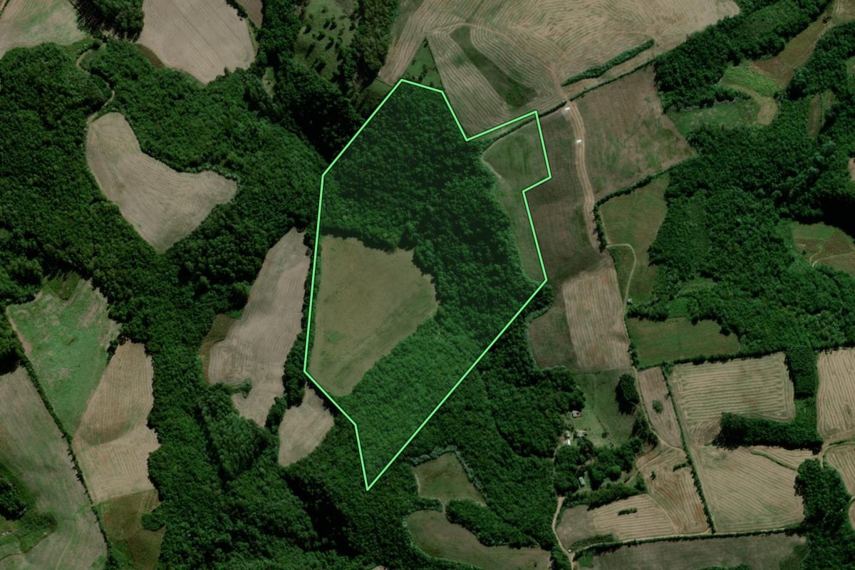 Imagem de satélite do imóvel rural em Segredo (RS), com o contorno declarado no CAR desenhado por cima.