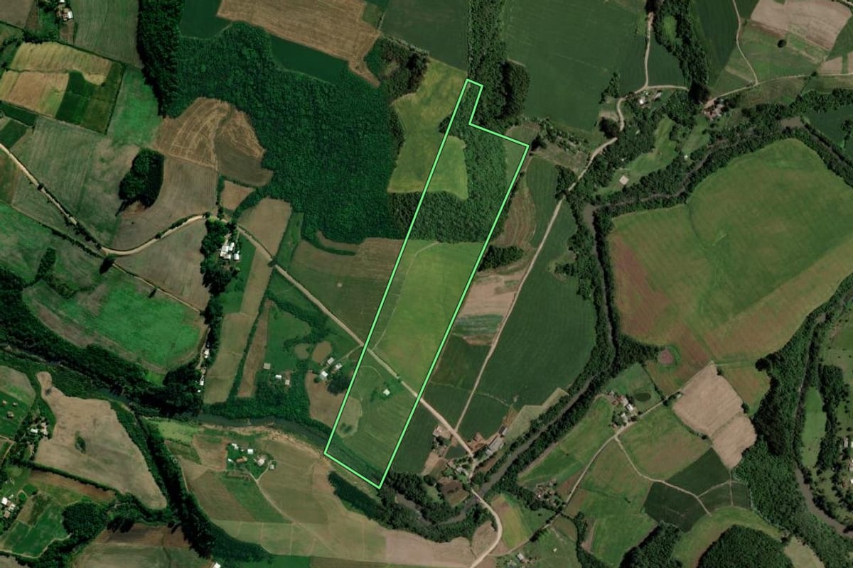 Imagem de satélite do imóvel rural em Segredo (RS), com o contorno declarado no CAR desenhado por cima.