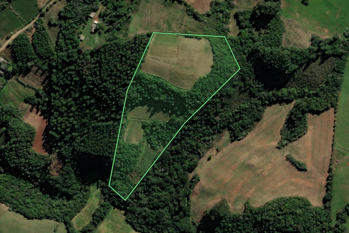Imagem de satélite do imóvel rural em Segredo (RS), com o contorno declarado no CAR desenhado por cima.