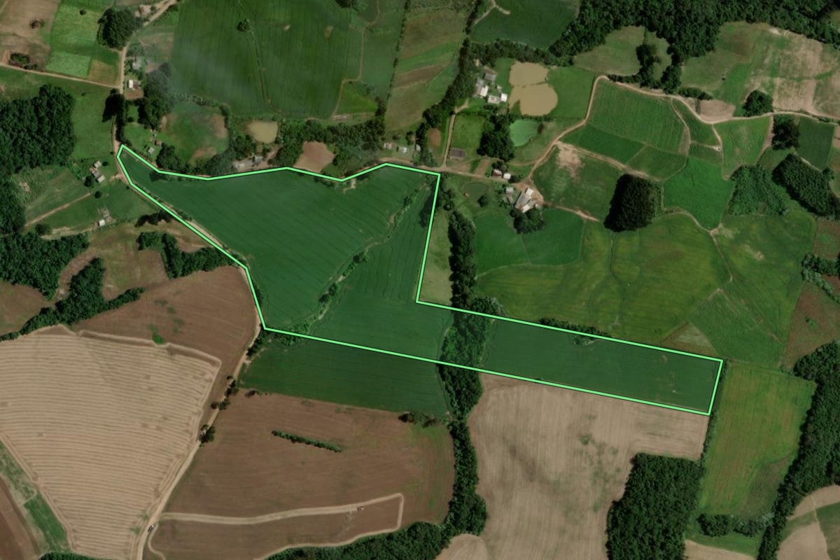Imagem de satélite do imóvel rural em Segredo (RS), com o contorno declarado no CAR desenhado por cima.