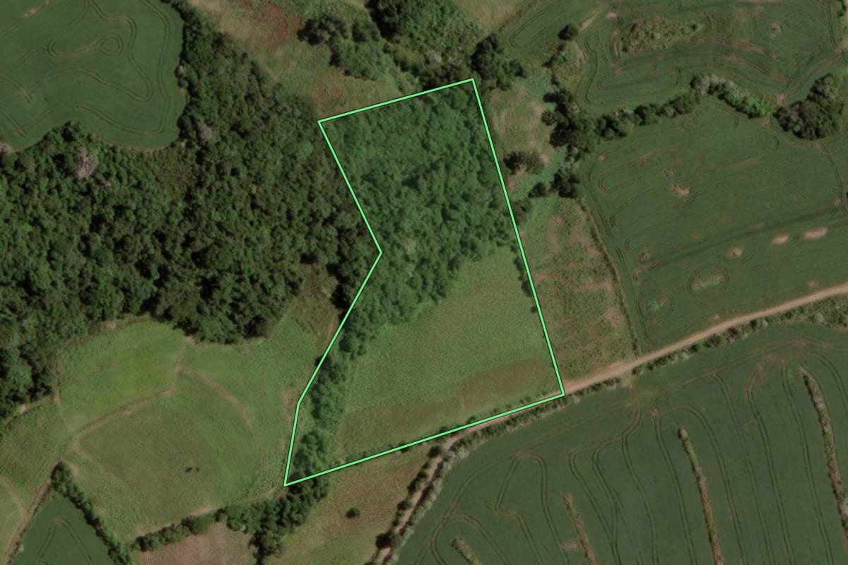 Imagem de satélite do imóvel rural em Segredo (RS), com o contorno declarado no CAR desenhado por cima.
