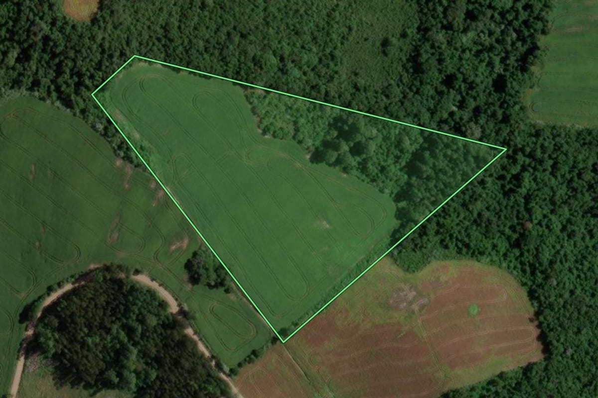 Imagem de satélite do imóvel rural em Segredo (RS), com o contorno declarado no CAR desenhado por cima.