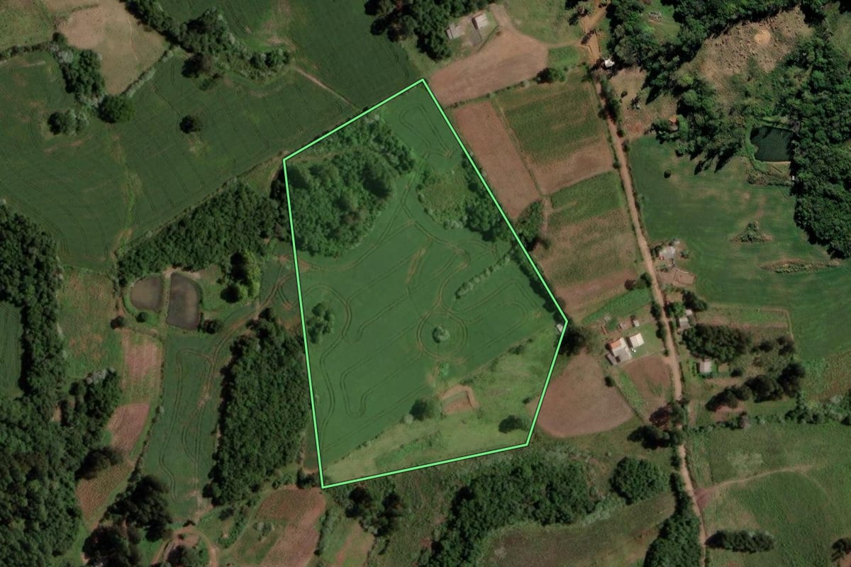 Imagem de satélite do imóvel rural em Segredo (RS), com o contorno declarado no CAR desenhado por cima.