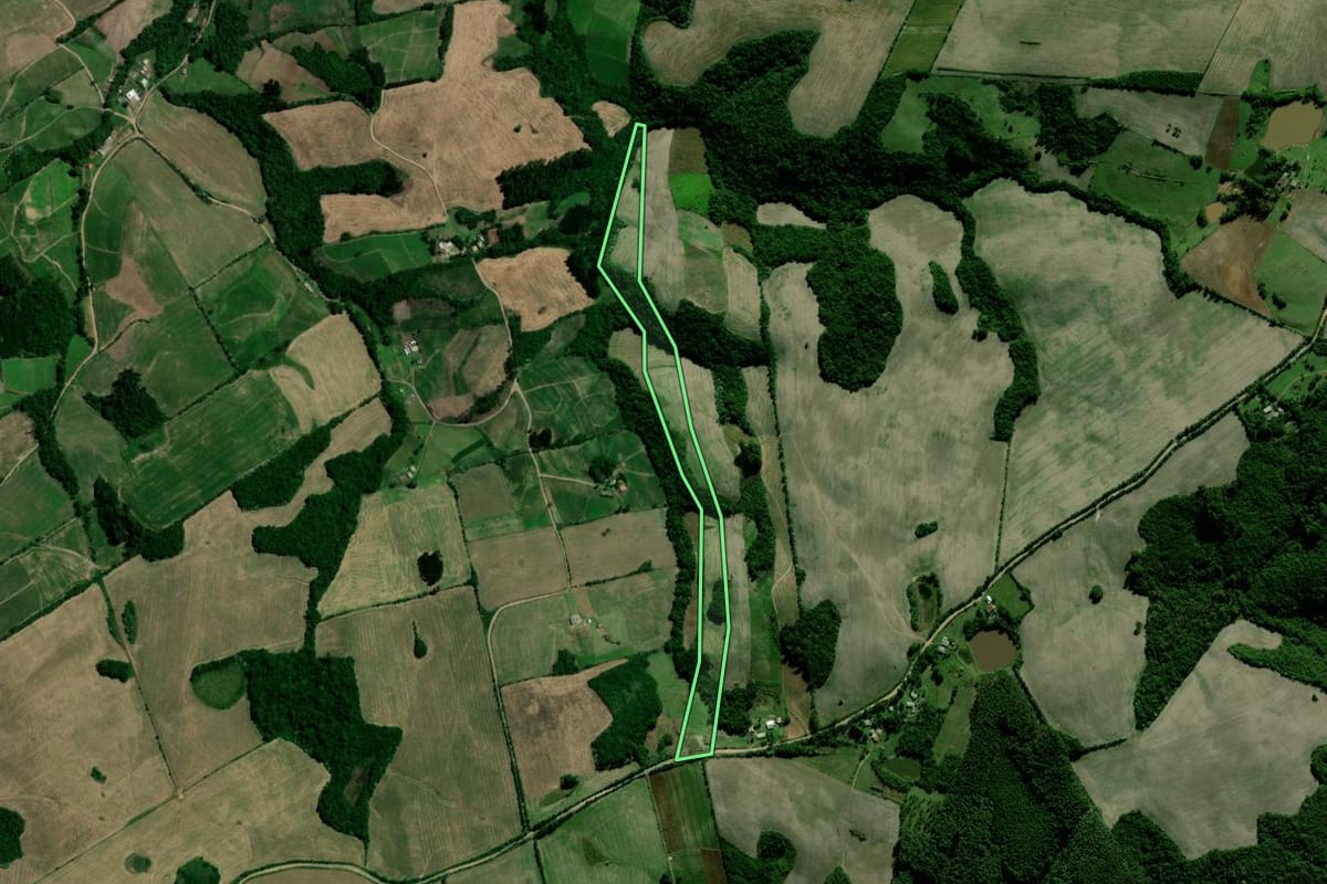 Imagem de satélite do imóvel rural em Segredo (RS), com o contorno declarado no CAR desenhado por cima.