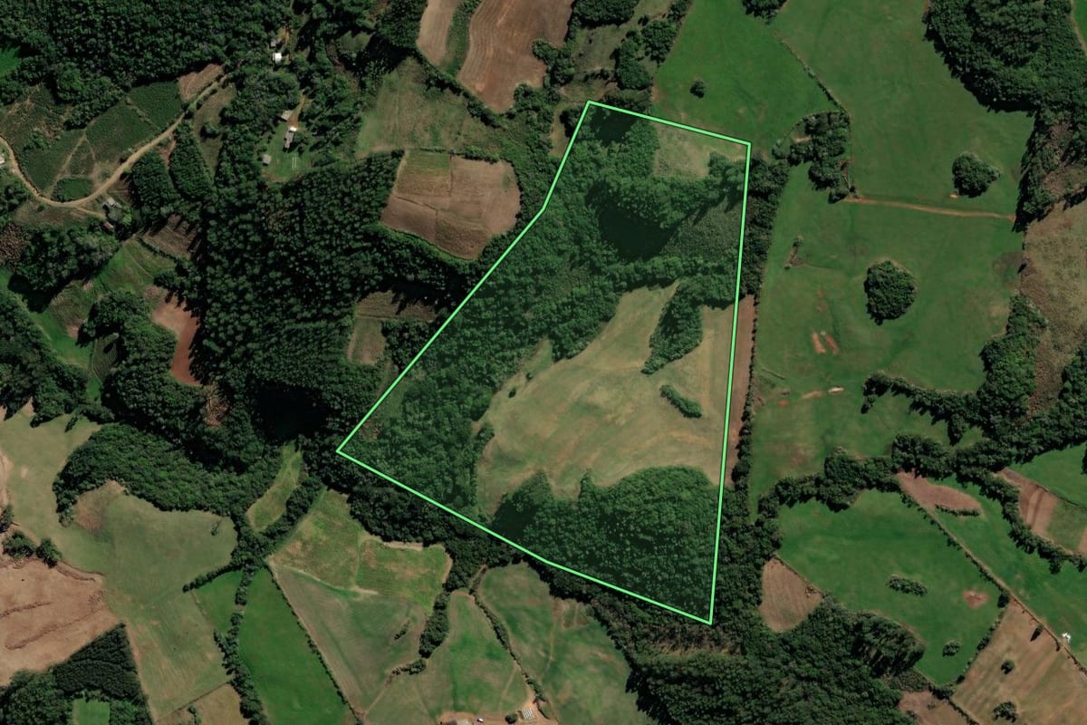 Imagem de satélite do imóvel rural em Segredo (RS), com o contorno declarado no CAR desenhado por cima.