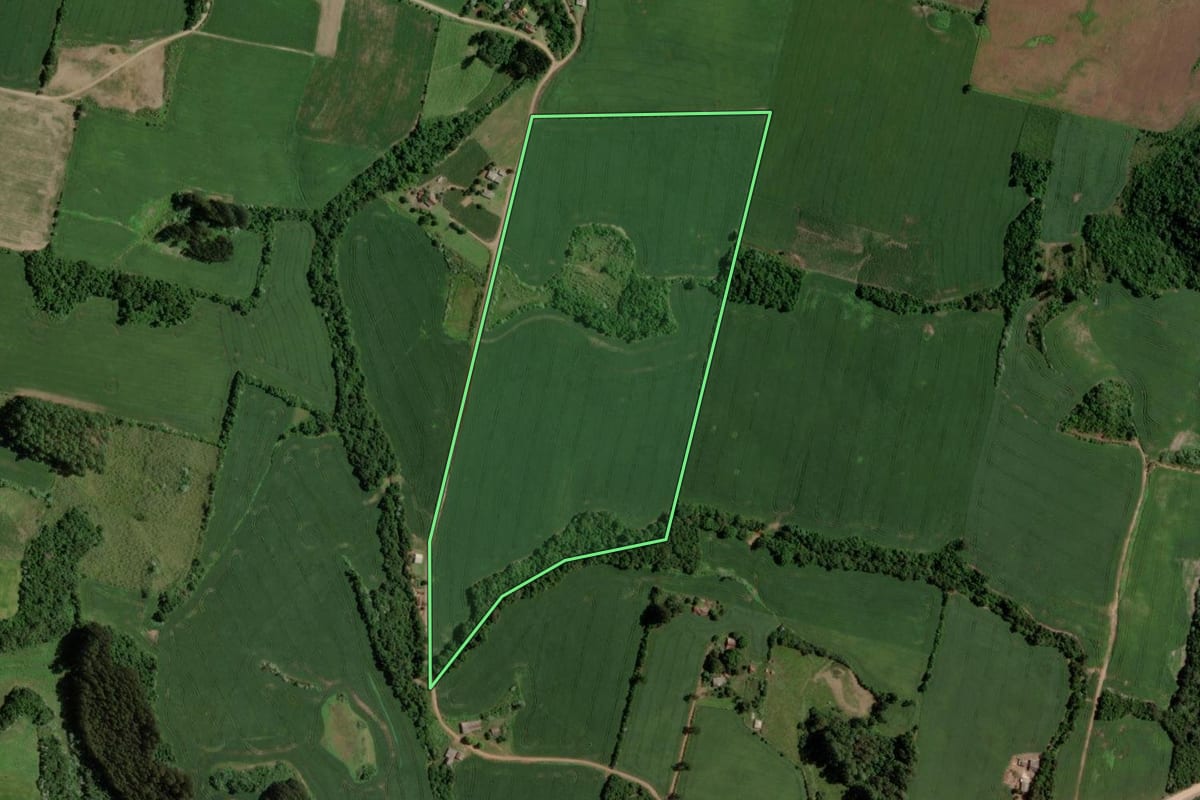 Imagem de satélite do imóvel rural em Segredo (RS), com o contorno declarado no CAR desenhado por cima.