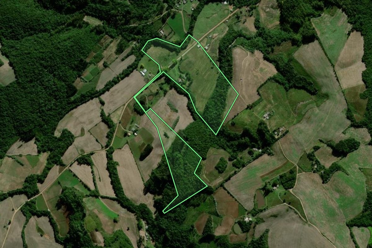 Imagem de satélite do imóvel rural em Segredo (RS), com o contorno declarado no CAR desenhado por cima.