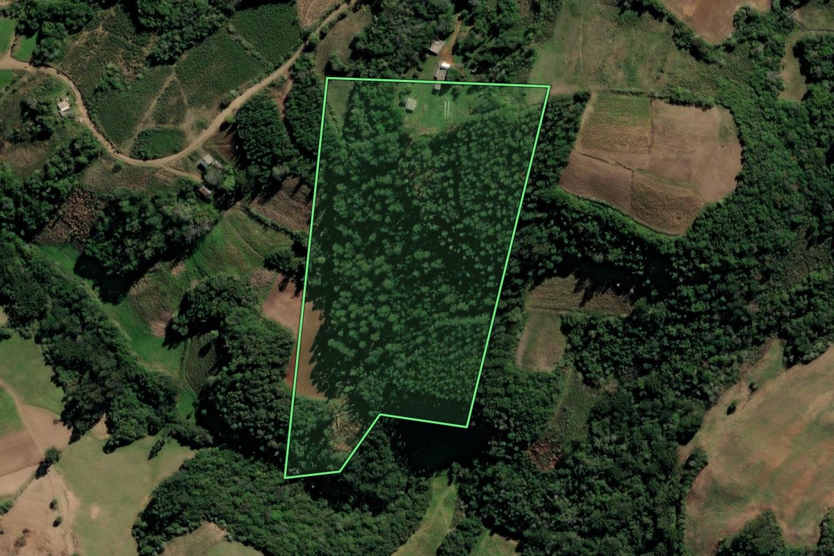 Imagem de satélite do imóvel rural em Segredo (RS), com o contorno declarado no CAR desenhado por cima.