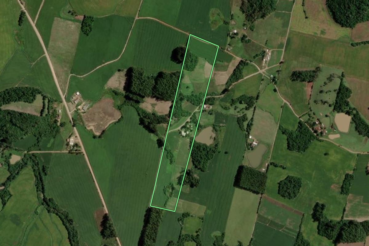 Imagem de satélite do imóvel rural em Segredo (RS), com o contorno declarado no CAR desenhado por cima.