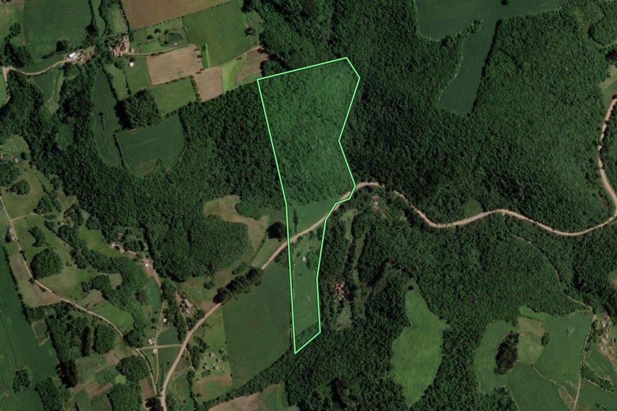 Imagem de satélite do imóvel rural em Segredo (RS), com o contorno declarado no CAR desenhado por cima.